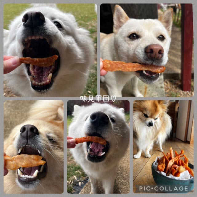 みんなで集合写真