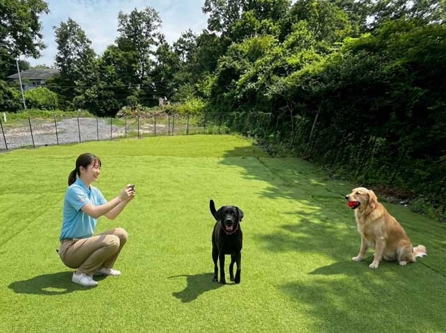 滞在中の様子を撮影