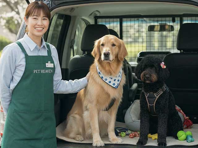 専用車での送迎
